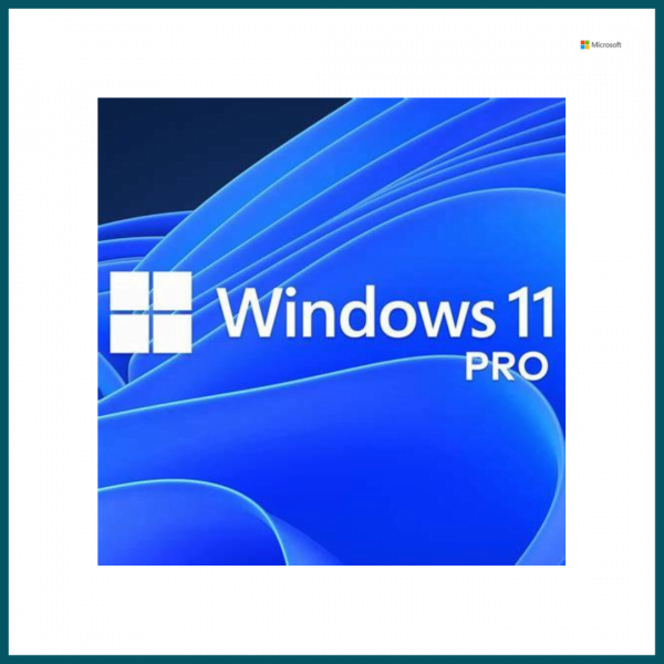 Windows 11 pro